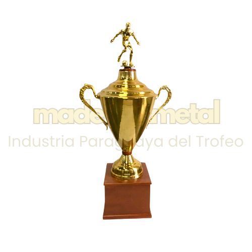 Imagen de Copa de metal con tapa - M5.3070